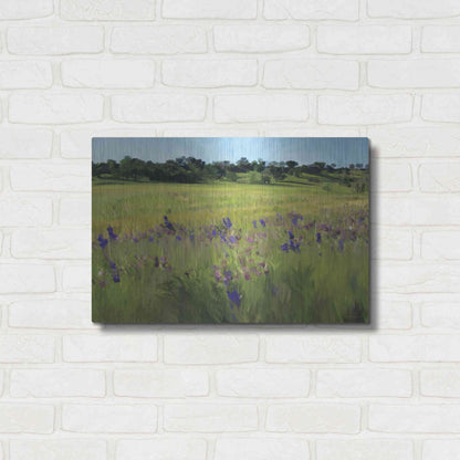 Luxe Metal Art 'Bidwell Park' by Kamdon Kreations, Metal Wall Art,24x16