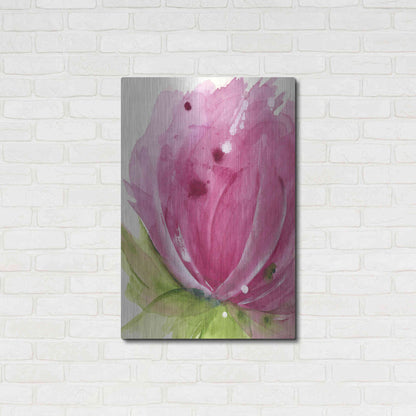 Luxe Metal Art 'Pink' by Dawn Derman, Metal Wall Art,24x36