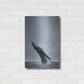 Luxe Metal Art '40 Ton' by Design Fabrikken, Metal Wall Art,16x24