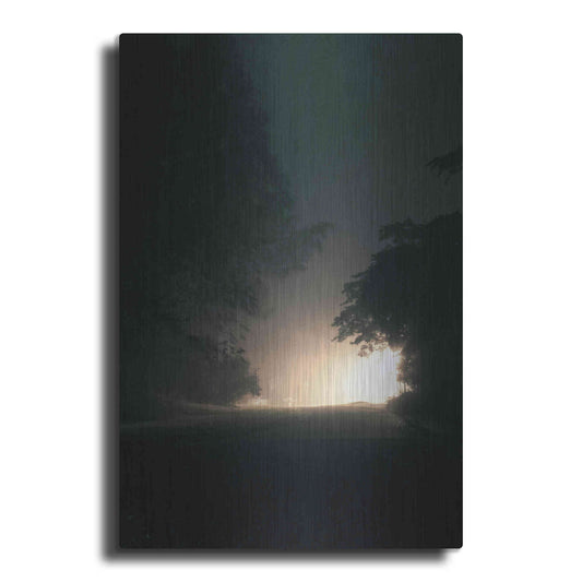 Luxe Metal Art 'A Light in the Dark' by Design Fabrikken, Metal Wall Art