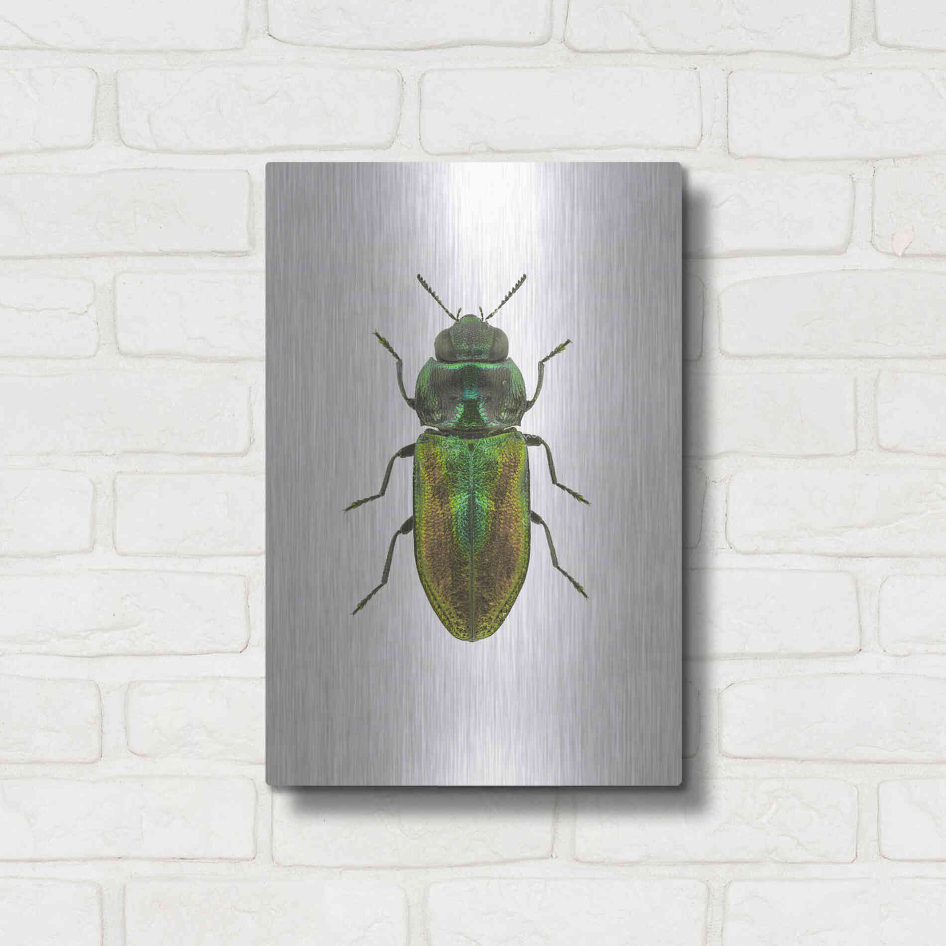 Luxe Metal Art 'Beetle 1' by Design Fabrikken, Metal Wall Art,12x16