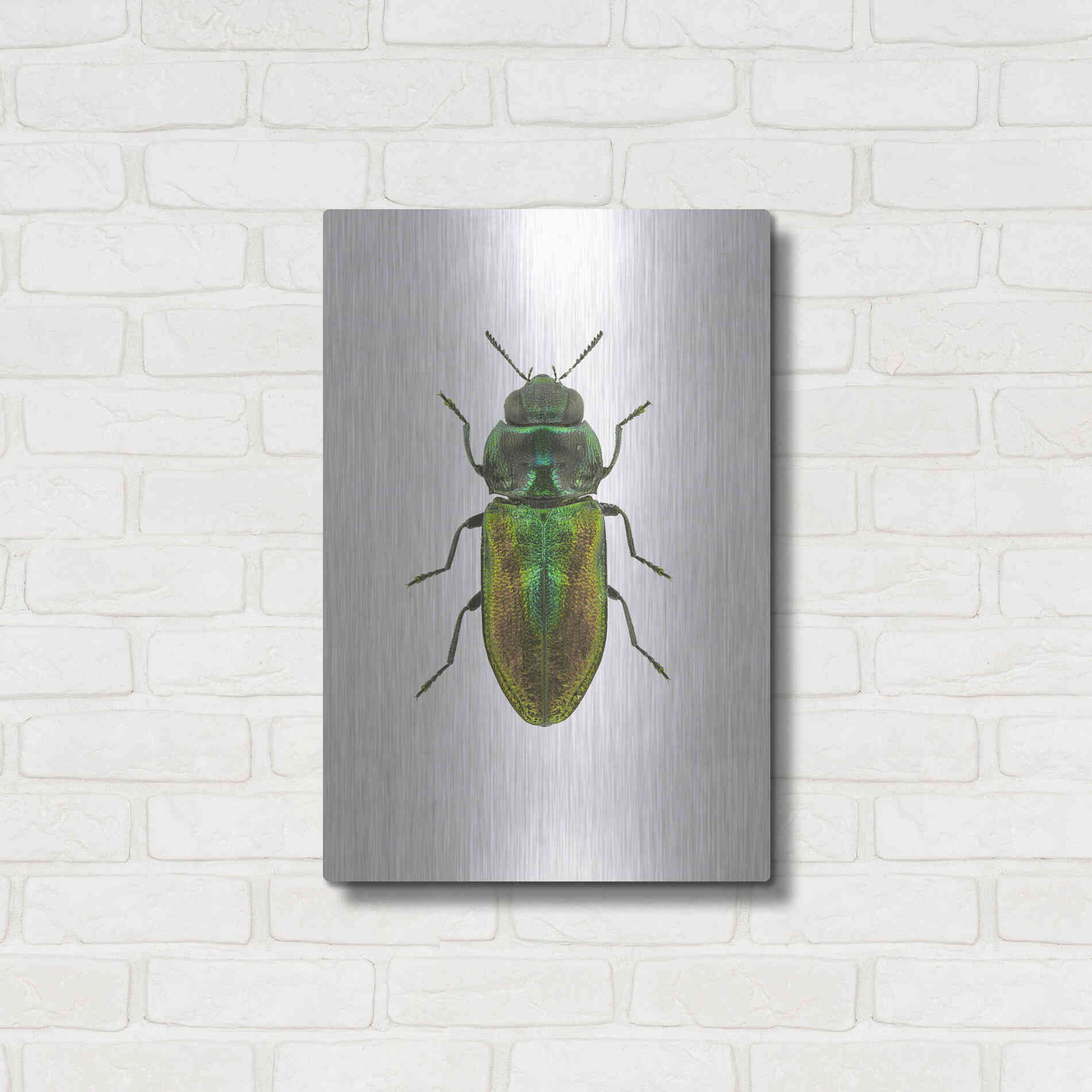 Luxe Metal Art 'Beetle 1' by Design Fabrikken, Metal Wall Art,16x24