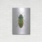 Luxe Metal Art 'Beetle 1' by Design Fabrikken, Metal Wall Art,24x36