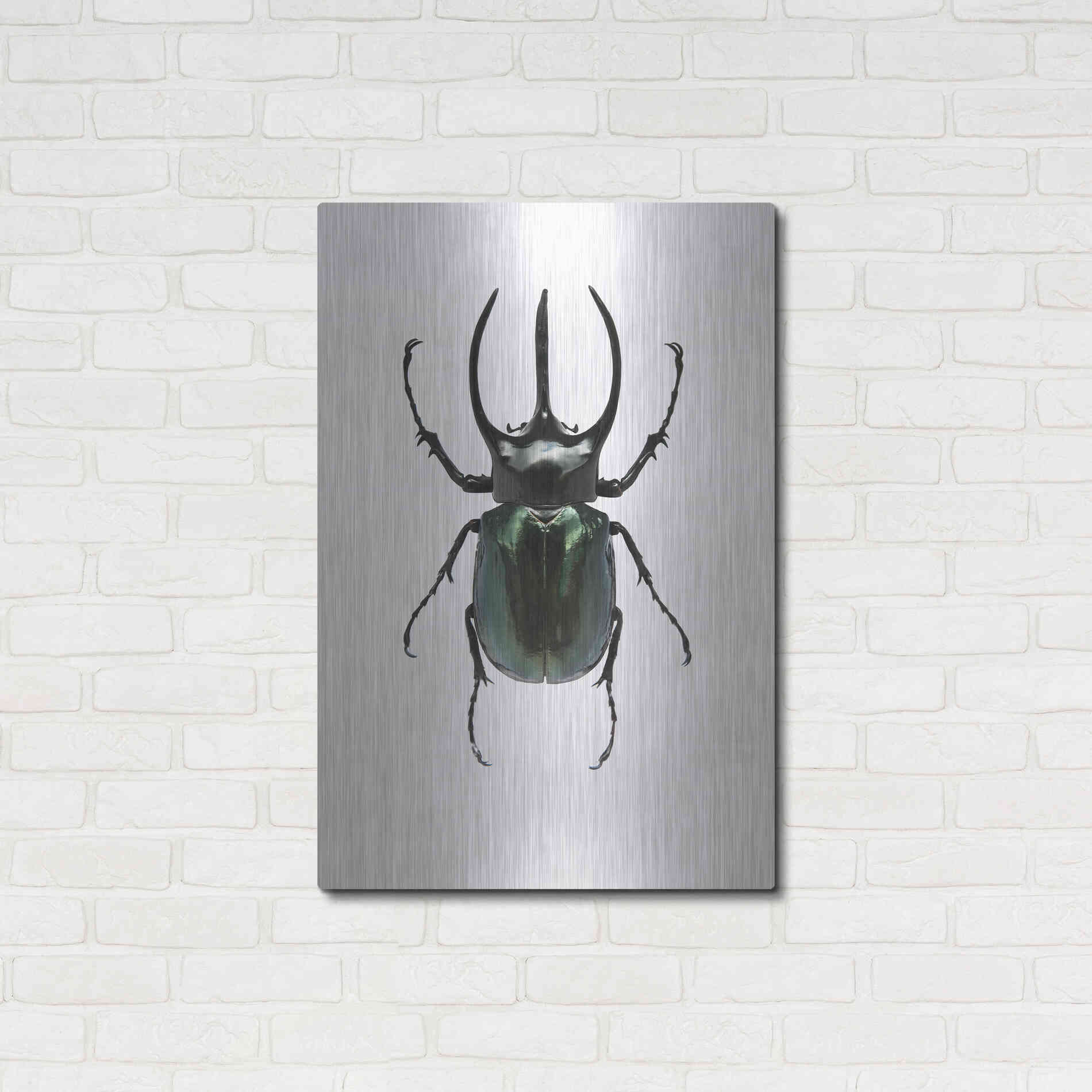 Luxe Metal Art 'Beetle 2' by Design Fabrikken, Metal Wall Art,24x36