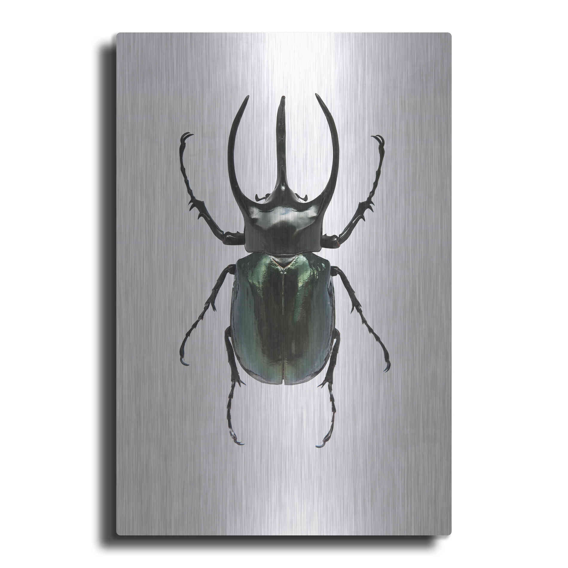 Luxe Metal Art 'Beetle 2' by Design Fabrikken, Metal Wall Art