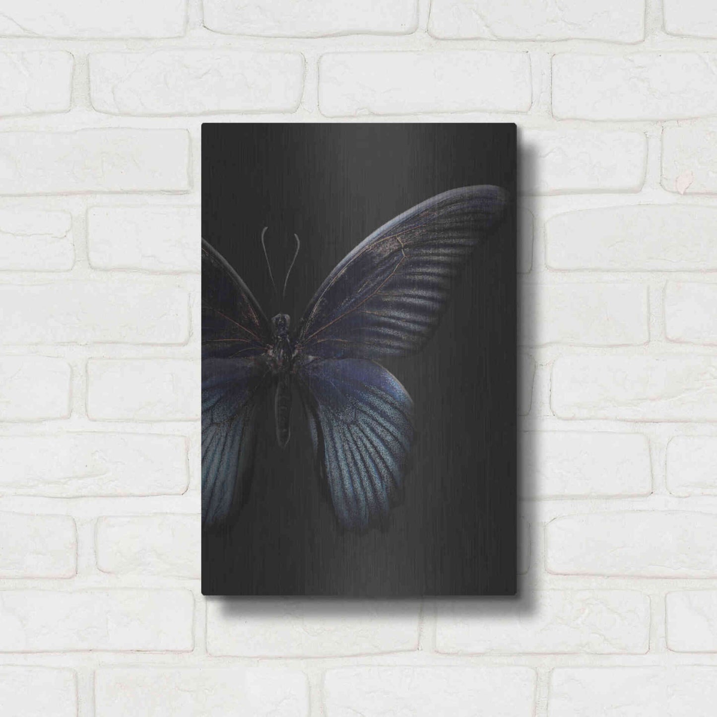Luxe Metal Art 'Black Butterfly on Grey' by Design Fabrikken, Metal Wall Art,12x16