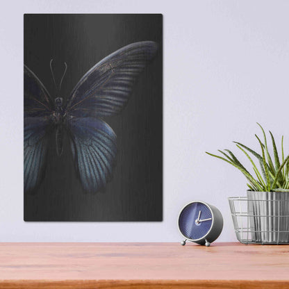 Luxe Metal Art 'Black Butterfly on Grey' by Design Fabrikken, Metal Wall Art,12x16