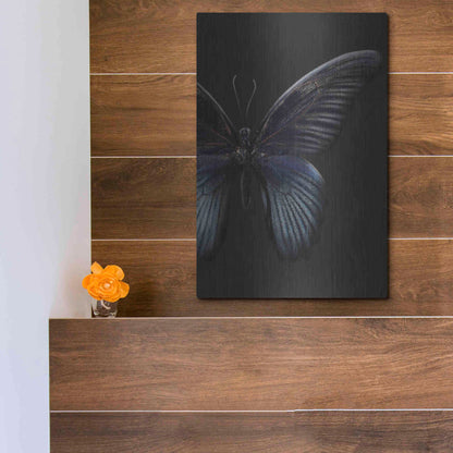 Luxe Metal Art 'Black Butterfly on Grey' by Design Fabrikken, Metal Wall Art,12x16