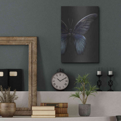 Luxe Metal Art 'Black Butterfly on Grey' by Design Fabrikken, Metal Wall Art,12x16