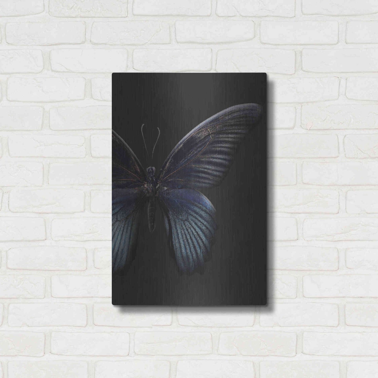 Luxe Metal Art 'Black Butterfly on Grey' by Design Fabrikken, Metal Wall Art,16x24