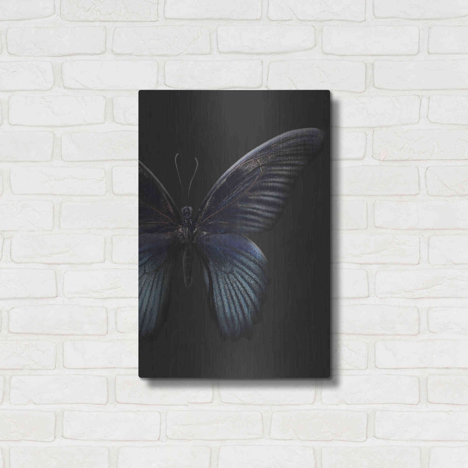 Luxe Metal Art 'Black Butterfly on Grey' by Design Fabrikken, Metal Wall Art,16x24