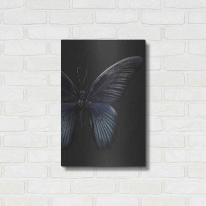 Luxe Metal Art 'Black Butterfly on Grey' by Design Fabrikken, Metal Wall Art,16x24