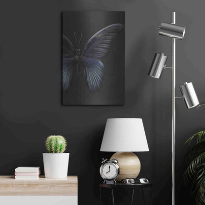 Luxe Metal Art 'Black Butterfly on Grey' by Design Fabrikken, Metal Wall Art,16x24