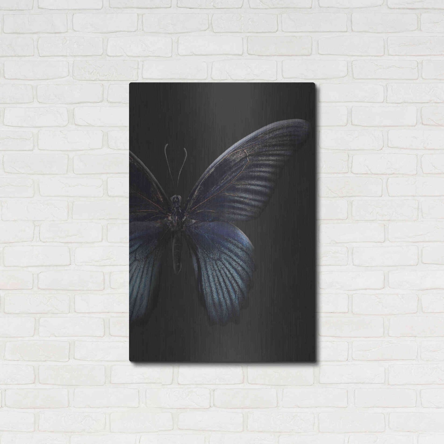 Luxe Metal Art 'Black Butterfly on Grey' by Design Fabrikken, Metal Wall Art,24x36