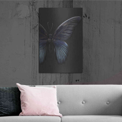 Luxe Metal Art 'Black Butterfly on Grey' by Design Fabrikken, Metal Wall Art,24x36