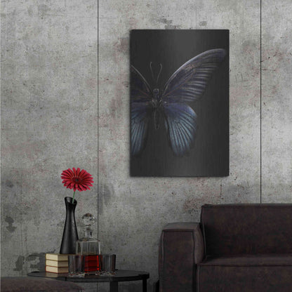 Luxe Metal Art 'Black Butterfly on Grey' by Design Fabrikken, Metal Wall Art,24x36