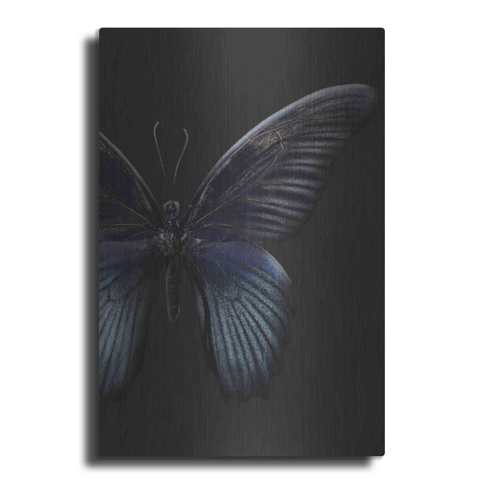 Luxe Metal Art 'Black Butterfly on Grey' by Design Fabrikken, Metal Wall Art