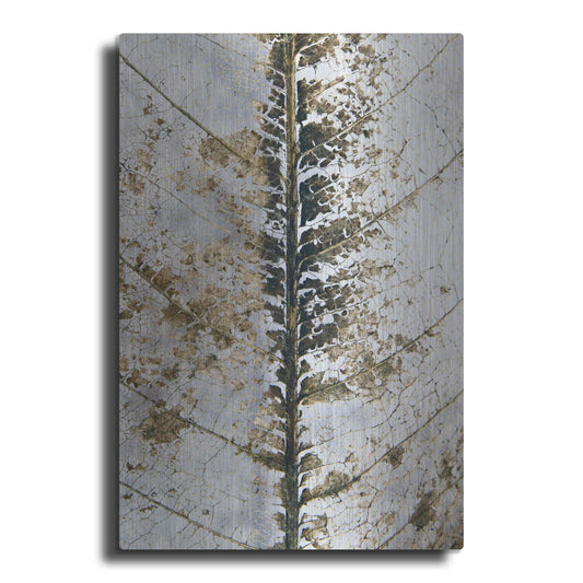 Luxe Metal Art 'Close Up' by Design Fabrikken, Metal Wall Art