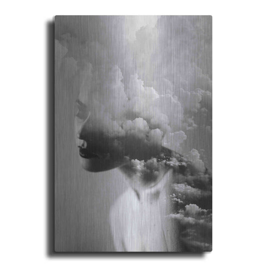 Luxe Metal Art 'Cloudy Mind' by Design Fabrikken, Metal Wall Art