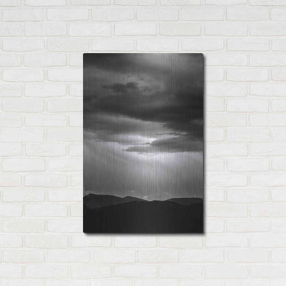 Luxe Metal Art 'Dark Skies' by Design Fabrikken, Metal Wall Art,24x36