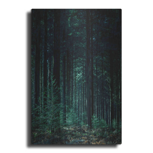 Luxe Metal Art 'Deep Green' by Design Fabrikken, Metal Wall Art