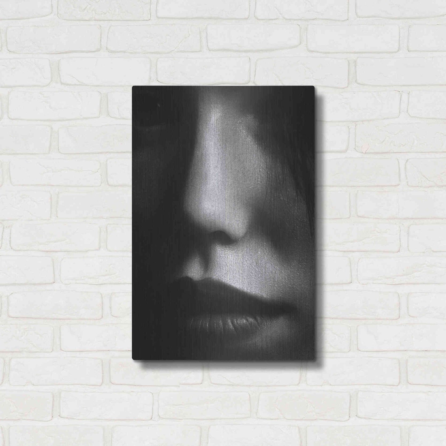 Luxe Metal Art 'Face 2' by Design Fabrikken, Metal Wall Art,16x24