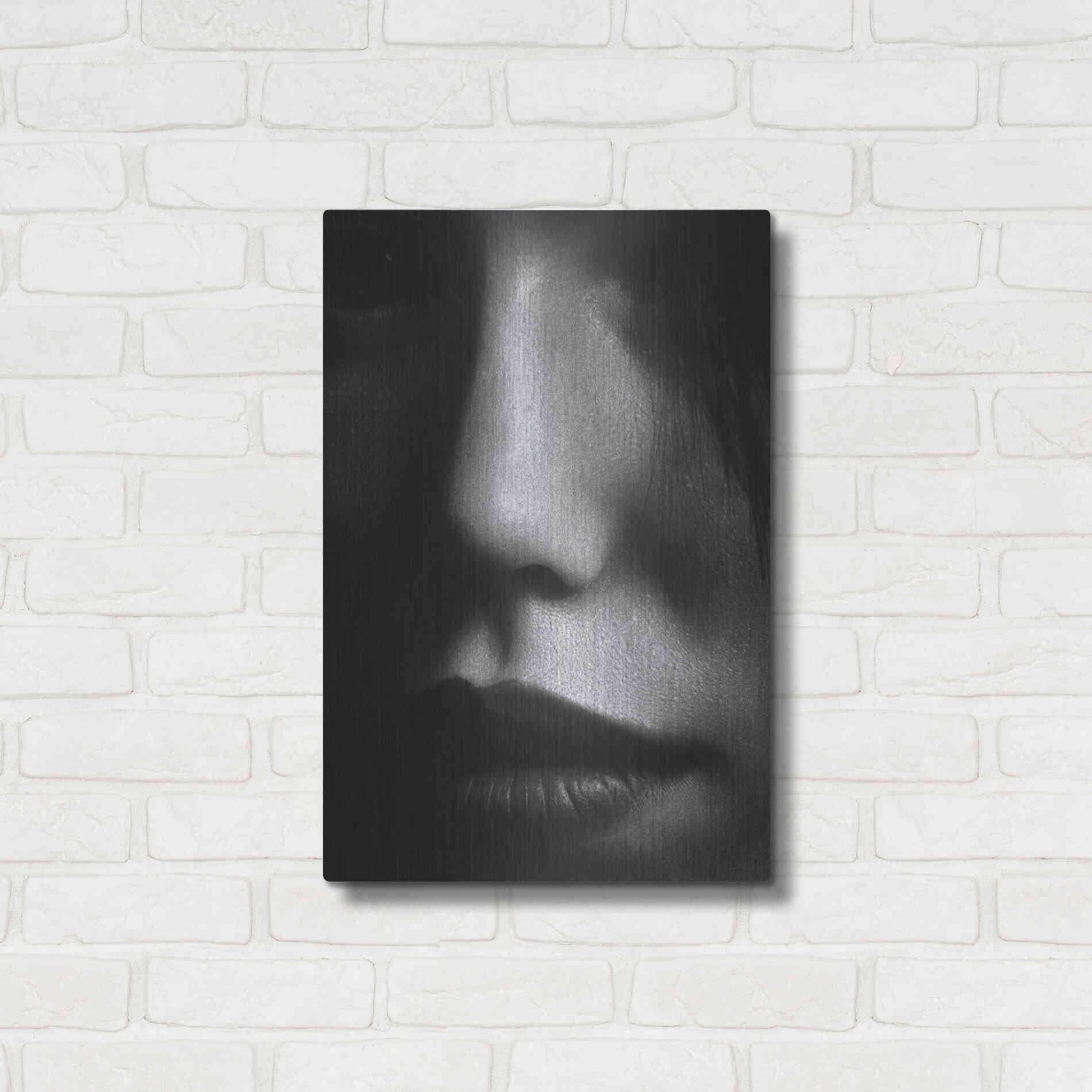 Luxe Metal Art 'Face 2' by Design Fabrikken, Metal Wall Art,16x24