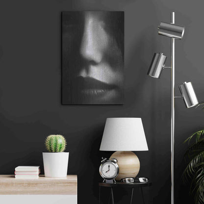 Luxe Metal Art 'Face 2' by Design Fabrikken, Metal Wall Art,16x24