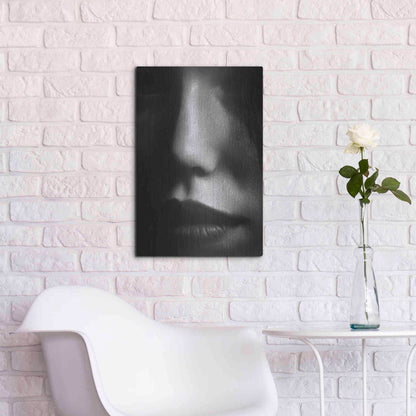 Luxe Metal Art 'Face 2' by Design Fabrikken, Metal Wall Art,16x24