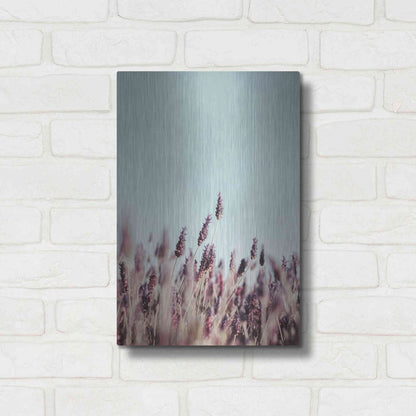 Luxe Metal Art 'Field Haze' by Design Fabrikken, Metal Wall Art,12x16