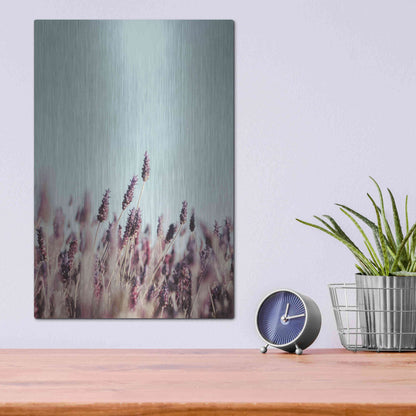 Luxe Metal Art 'Field Haze' by Design Fabrikken, Metal Wall Art,12x16