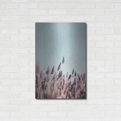 Luxe Metal Art 'Field Haze' by Design Fabrikken, Metal Wall Art,24x36