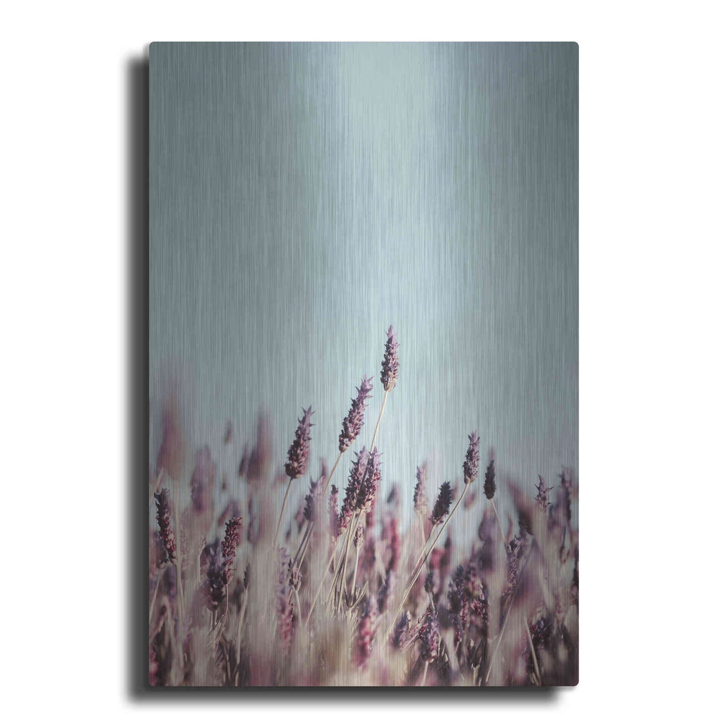 Luxe Metal Art 'Field Haze' by Design Fabrikken, Metal Wall Art