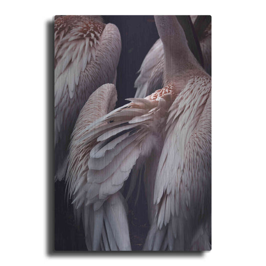 Luxe Metal Art 'Flamboyance 1' by Design Fabrikken, Metal Wall Art