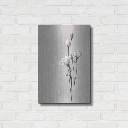 Luxe Metal Art 'Flower 2' by Design Fabrikken, Metal Wall Art,16x24