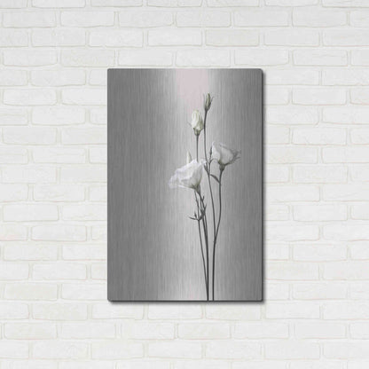 Luxe Metal Art 'Flower 2' by Design Fabrikken, Metal Wall Art,24x36