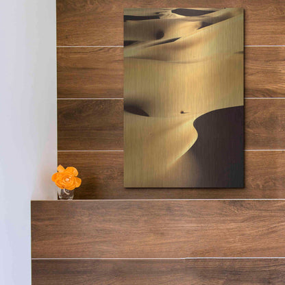 Luxe Metal Art 'In the Dunes 1' by Design Fabrikken, Metal Wall Art,12x16