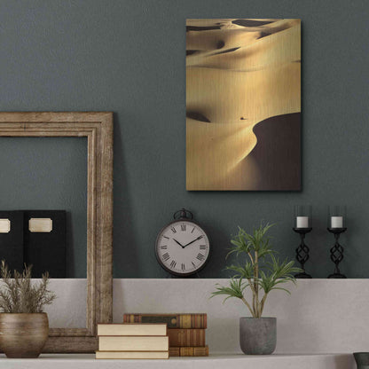 Luxe Metal Art 'In the Dunes 1' by Design Fabrikken, Metal Wall Art,12x16