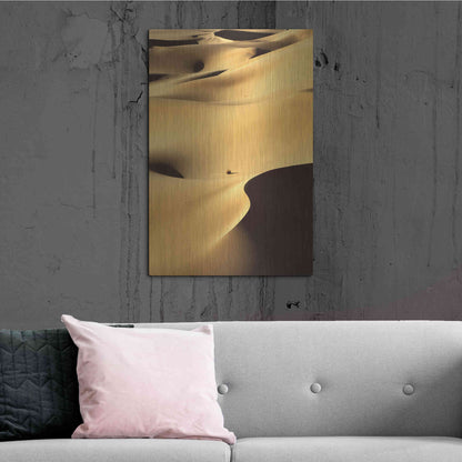 Luxe Metal Art 'In the Dunes 1' by Design Fabrikken, Metal Wall Art,24x36