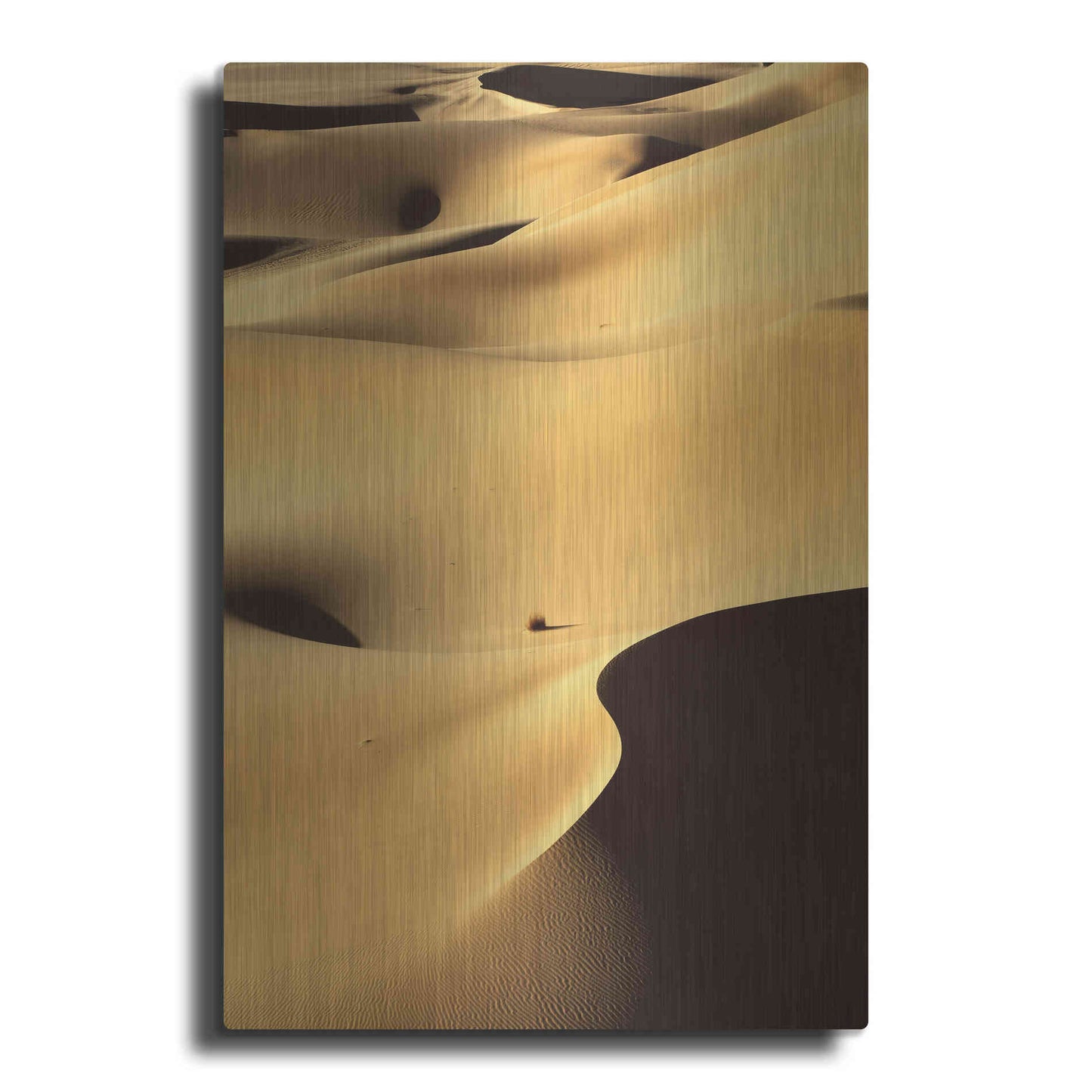 Luxe Metal Art 'In the Dunes 1' by Design Fabrikken, Metal Wall Art