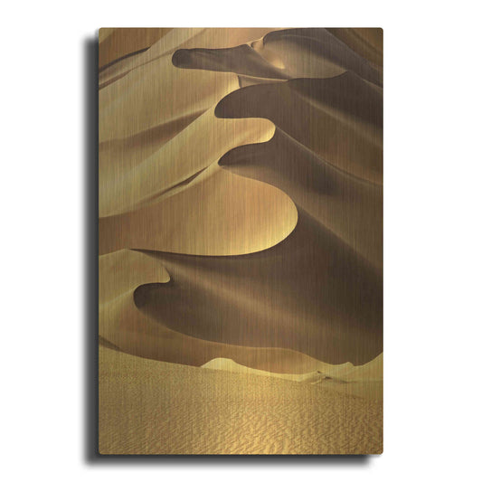 Luxe Metal Art 'In the Dunes 2' by Design Fabrikken, Metal Wall Art
