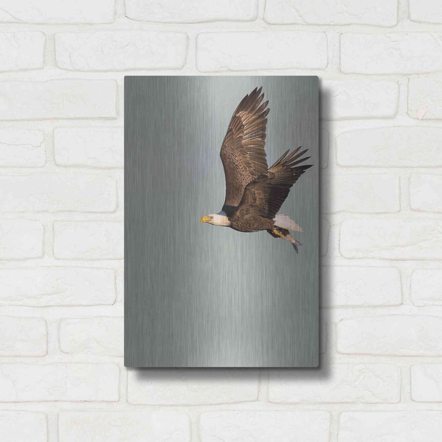 Luxe Metal Art 'In the Sky 3' by Design Fabrikken, Metal Wall Art,12x16