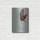 Luxe Metal Art 'In the Sky 3' by Design Fabrikken, Metal Wall Art,16x24