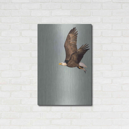 Luxe Metal Art 'In the Sky 3' by Design Fabrikken, Metal Wall Art,24x36