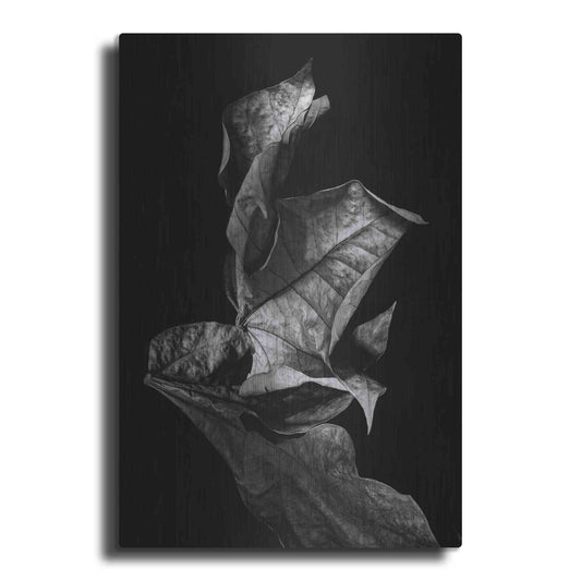 Luxe Metal Art 'Leaf Composition Dark' by Design Fabrikken, Metal Wall Art