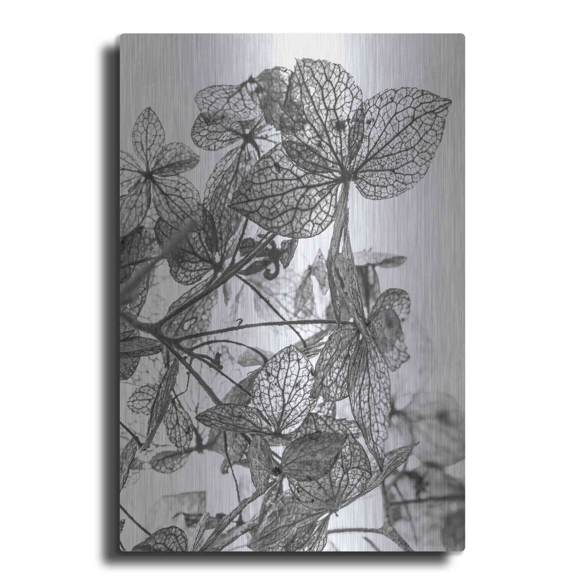 Luxe Metal Art 'Leaf Composition' by Design Fabrikken, Metal Wall Art