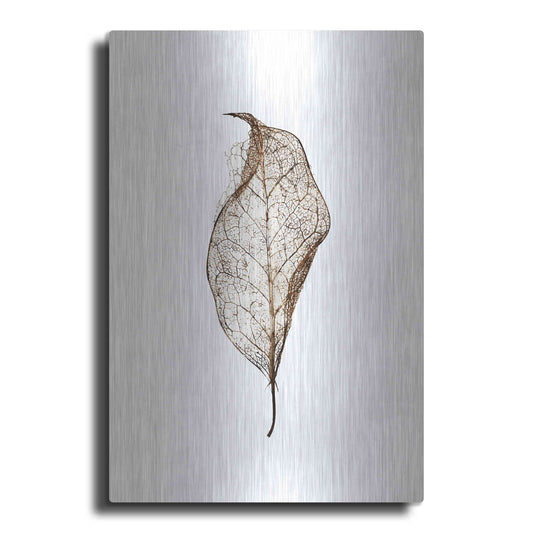 Luxe Metal Art 'Leaf' by Design Fabrikken, Metal Wall Art