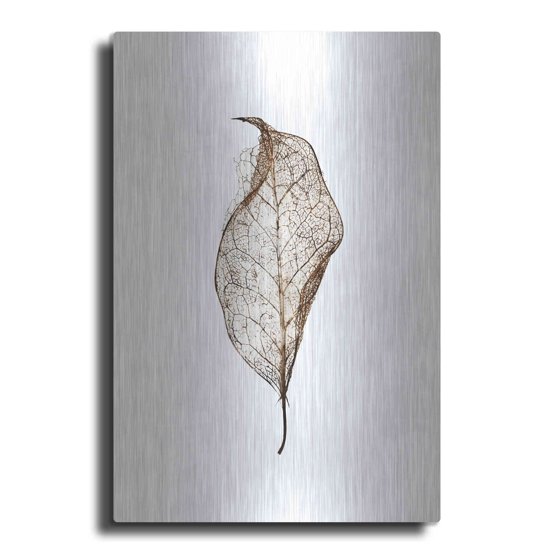 Luxe Metal Art 'Leaf' by Design Fabrikken, Metal Wall Art
