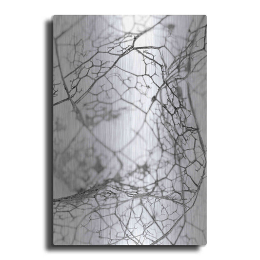 Luxe Metal Art 'Leaf Skeleton BW' by Design Fabrikken, Metal Wall Art