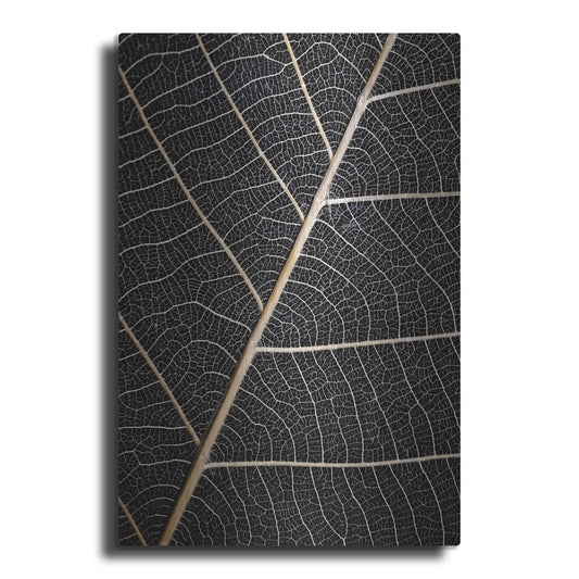 Luxe Metal Art 'Leaf Veins' by Design Fabrikken, Metal Wall Art